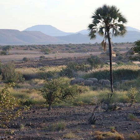 Palmwag Campsite ภายนอก รูปภาพ